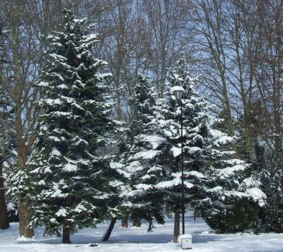 Прикрепленное изображение: p11.jpg